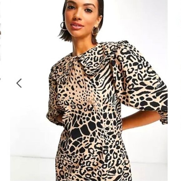 NWT Mango Collar Mini Dress in Animal Print - Picture 1 of 5